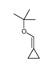 (2-methylpropan-2-yl)oxymethylidenecyclopropane Structure