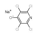 sodium 2,3,5,6-tetrachloropyridin-4-olate picture