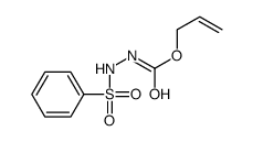 prop-2-enyl N-(benzenesulfonamido)carbamate结构式