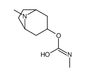(8-methyl-8-azabicyclo[3.2.1]octan-3-yl) N-methylcarbamate Structure