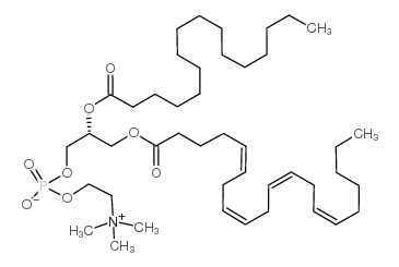 1-hexadecanoyl-2-[(cis,cis,cis,cis)-5,8,11,14-eicosatetraenoyl]-sn-glycero-3-phosphocholine结构式
