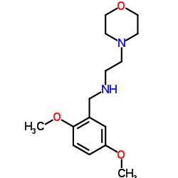 (2,5-DIMETHOXY-BENZYL)-(2-MORPHOLIN-4-YL-ETHYL)-AMINE structure