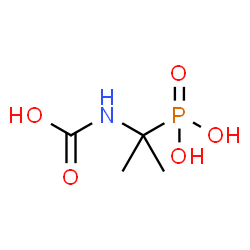 Phosphonic acid,(1-carboxyamino-1-methylethyl)- (5CI)结构式