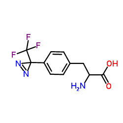 3-(4-(3-(trifluoromethyl)-3H-diazirin-3-yl)phenyl)alanine结构式