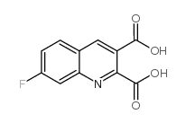 7-Fluoroquinoline-2,3-dicarboxylic acid picture