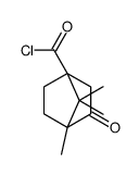 Bicyclo[2.2.1]heptane-1-carbonyl chloride, 4,7,7-trimethyl-3-oxo- (9CI)结构式