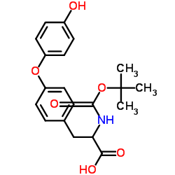 O-(4-Hydroxyphenyl)-N-{[(2-methyl-2-propanyl)oxy]carbonyl}tyrosine结构式