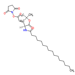 N-棕榈酰-L-谷氨酸1-叔丁基5-(N-琥珀酰亚胺)酯图片