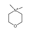 4,4-dimethylmorpholin-4-ium Structure