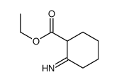 ethyl 2-iminocyclohexane-1-carboxylate Structure