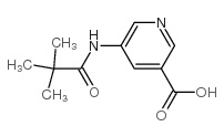 5-(2,2-二甲基丙胺)-烟酸结构式