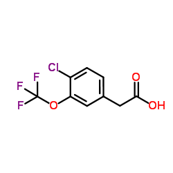 4-Chloro-3-(trifluoromethoxy)phenylacetic acid picture