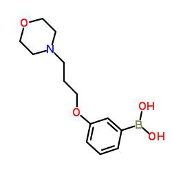 (3-(3-吗啉代丙氧基)苯基)硼酸结构式