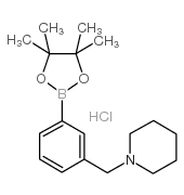 piperidinomethyl-3-phenylboronic acid pinacol ester hydrochloride Structure
