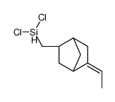 dichloro-[(2-ethylidene-5-bicyclo[2.2.1]heptanyl)methyl]silane结构式