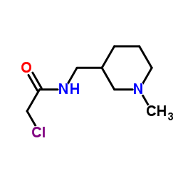 2-Chloro-N-[(1-methyl-3-piperidinyl)methyl]acetamide structure