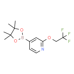 4-(4,4,5,5-Tetramethyl-1,3,2-dioxaborolan-2-yl)-2-(2,2,2-trifluoroethoxy)pyridine picture