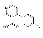 4-(4-methoxyphenyl)pyridine-3-carboxylic acid结构式
