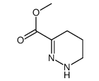 3-Pyridazinecarboxylicacid,1,4,5,6-tetrahydro-,methylester(9CI)结构式