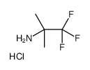 1,1,1-三氟-2-甲基-2-丙胺盐酸盐结构式