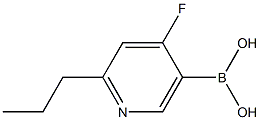 4-Fluoro-2-(n-propyl)pyridine-5-boronic acid结构式