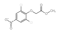 Acetic acid,2-(2,6-dichloro-4-nitrophenoxy)-, methyl ester picture