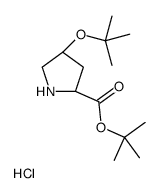 H-Hyp(tBu)-Otbu.HCl Structure
