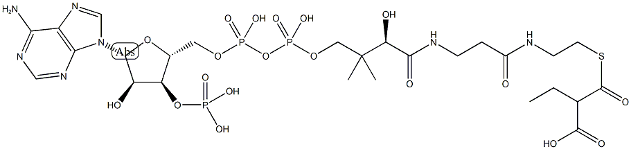 Ethylmalonyl Coenzyme A (sodium salt)图片