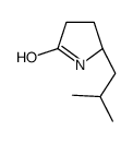 (5S)5-(2-Methylpropyl)-2-Pyrrolidinone structure