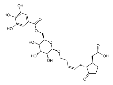 (1'R,5'R)-5-(5-carboxymethyl-2-oxocyclopentyl)-3Z-pentyl β-D-(6-O-galloyl)glucopyranoside结构式