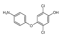 4-(4-aminophenoxy)-2,5-dichlorophenol结构式