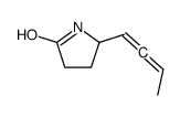 5-buta-1,2-dienylpyrrolidin-2-one结构式