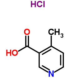 4-Methylnicotinic acid hydrochloride picture