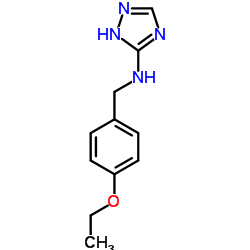 N-(4-ETHOXYBENZYL)-1H-1,2,4-TRIAZOL-3-AMINE结构式