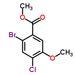 Methyl 2-bromo-4-chloro-5-methoxybenzoate图片