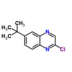 6-tert-butyl-2-chloroquinoxaline Structure