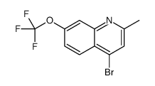 4-Bromo-2-methyl-7-trifluoromethoxyquinoline Structure