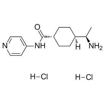 Y-27632 2HCl Structure
