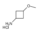 trans-3-Methoxycyclobutanamine hydrochloride picture