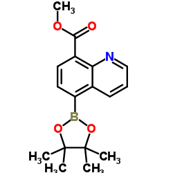 methyl 5-(4,4,5,5-tetramethyl-1,3,2-dioxaborolan-2-yl)quinoline-8-carboxylate picture