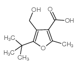 5-叔丁基-4-羟基甲基-2-甲基-呋喃-3-羧酸图片