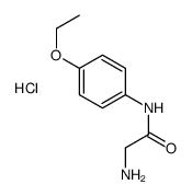 2-amino-N-(4-ethoxyphenyl)acetamide,hydrochloride结构式
