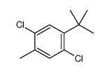 4-tert-Butyl-2,5-dichlorotoluene结构式