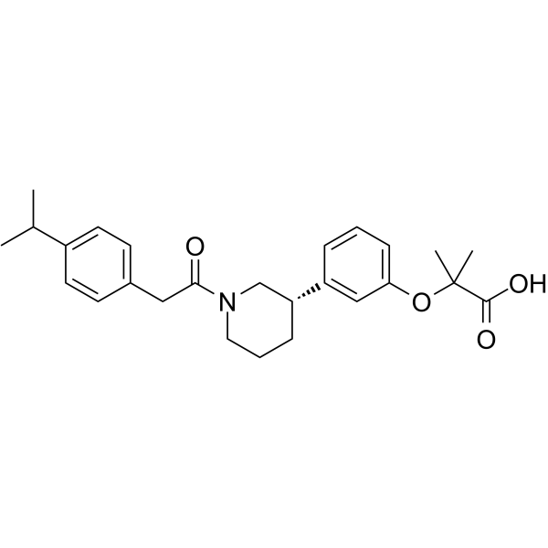 CP-775146 structure