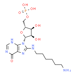 8-((6-aminohexyl)amino)inosine 5'-monophosphate picture