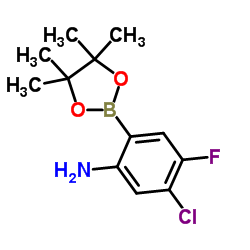5-Chloro-4-fluoro-2-(4,4,5,5-tetramethyl-1,3,2-dioxaborolan-2-yl)aniline结构式
