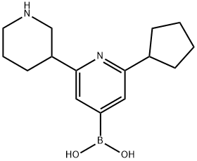 2-Cyclopentyl-6-(piperidin-3-yl)pyridine-4-boronic acid Structure