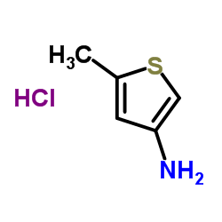 5-Methyl-3-thiophenamine hydrochloride (1:1)结构式