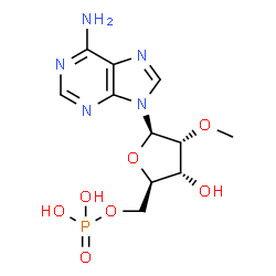 poly(2'-methyl) A结构式