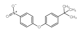 4-nitro-4'-t-butyl diphenyl ether picture